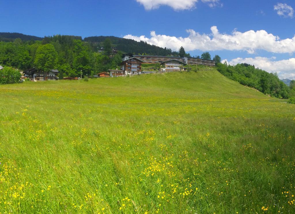 Apartment Weinberg Kirchberg in Tirol Exterior foto